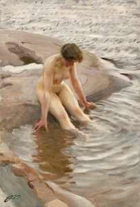 Mojado de Anders Leonard Zorn